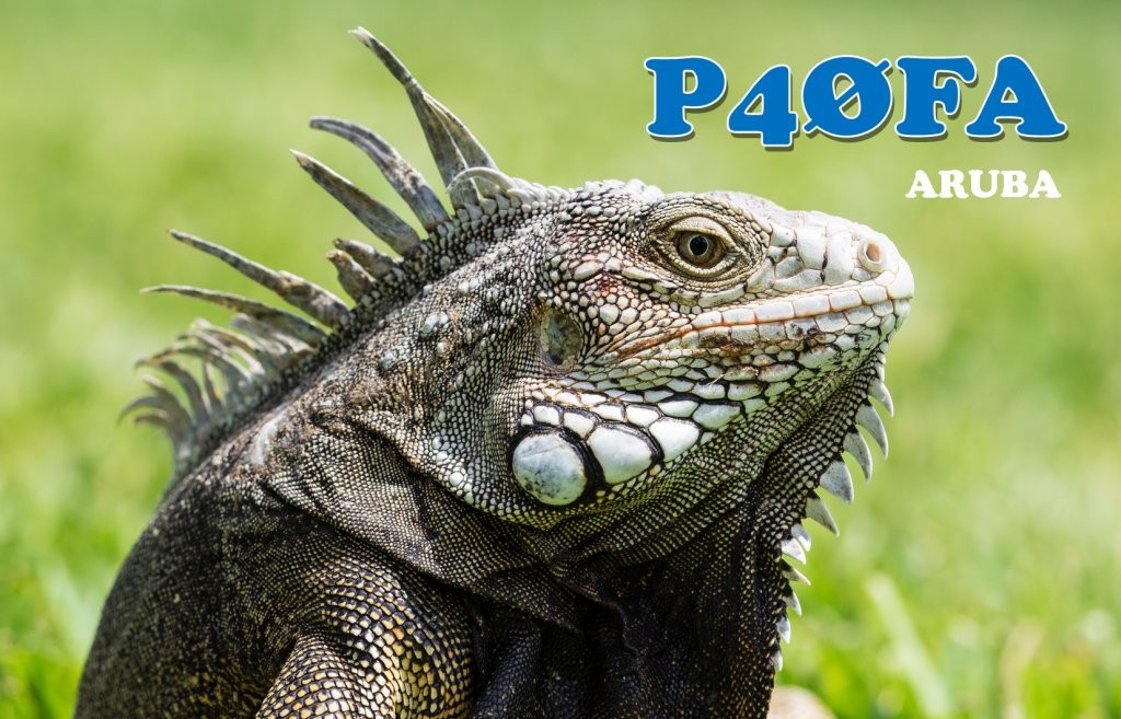 p40fa-1a